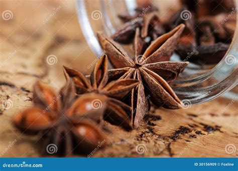 Star Anise Stock Image Image Of Cinnamon Taste Goods 30156909