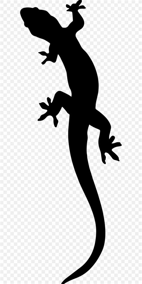 Salamander Lizard Clip Art Png X Px Salamander Alpine