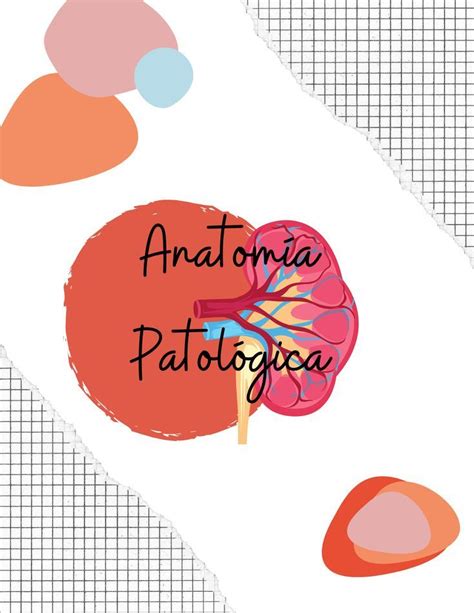 Portada Anatom A Patol Gica Anatomia Patologica Anatom A Temas De