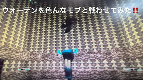 【マインクラフト 】りんまるゲームズ 5 【ウォーデンと色んなモブを戦わせてみた】 マイクラ（minecraft）動画まとめ