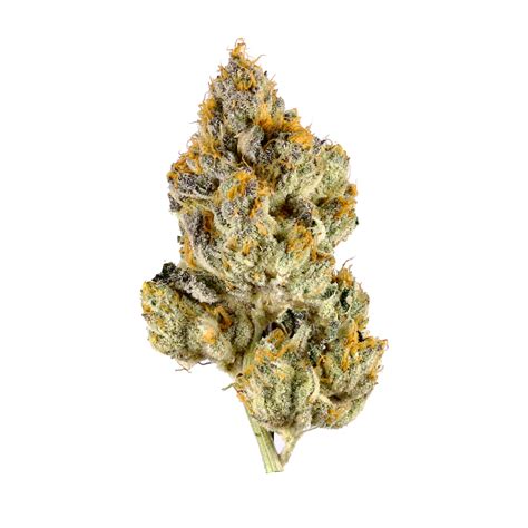 Oreoz Strain Oreo Cookies Strain Oreo At Allbud Dispensary