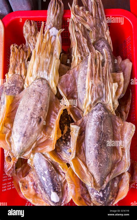 Dried Squid And Cuttlefish Stock Photo Alamy