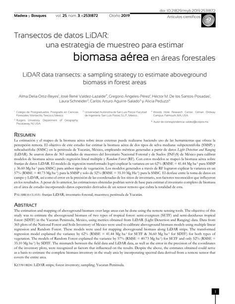 PDF Transectos De Datos LiDAR Una Estrategia De Muestreo Para