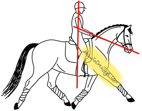 How And Why To Maintain The Correct Rider Position ⋆ How To Dressage