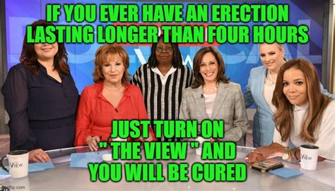 Group Of Pigs On The View Will Make You Soft Imgflip