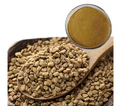 Fenugreek Seed Extract Packaging Type HDPE Drum Packaging Size 10