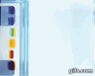 Agarose Gel Electrophoresis Gif