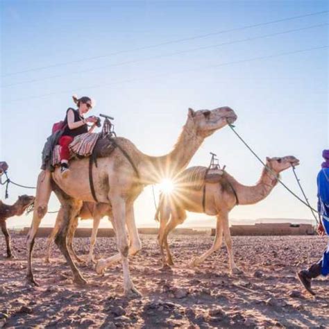 Marrakesh Nachtelijke Sahara Tour Naar Zagora En Ait Ben Haddou