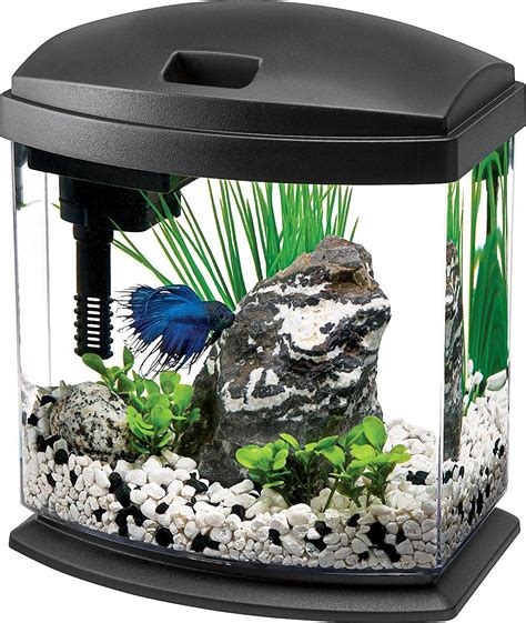 Ready Set Splash The Ultimate Guide To Choosing The Best Aquarium