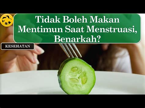 Temukan Manfaat Makan Timun Saat Haid Yang Jarang Diketahui Biotifor