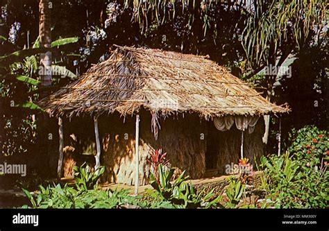 Grass Hut Hawaii Hi Res Stock Photography And Images Alamy