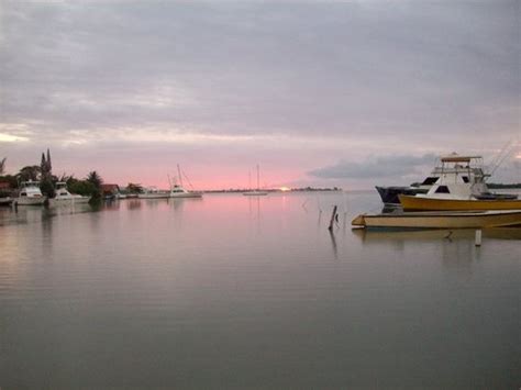 Glistening Waters Luminous Lagoon Tour Falmouth All You Need To