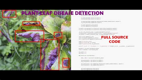 Plant Disease Recognition Using Deep Learning And Pytorch 43 Off