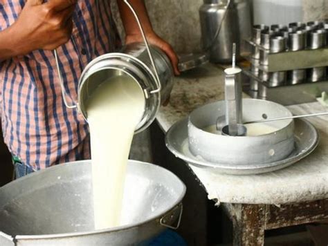 Realizan implantes de embriones para mejorar la producción de leche