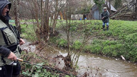 Indre Et Loire Ils Ont Taquin La Truite Malgr La Pluie