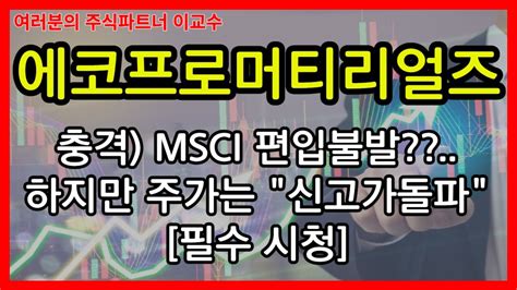 에코프로머티 주가분석 충격 Msci 편입 불발 하지만 주가는 신고가 돌파 에코프로머티 에코프로 에코프로