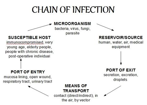 Diagram Of Chain Of Infection For Nurse Aides