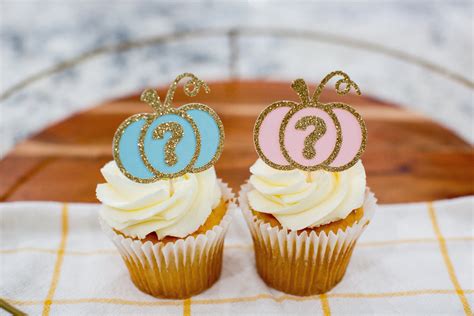 Pumpkin Gender Reveal Decorations Pink Or Blue Pumpkin Etsy