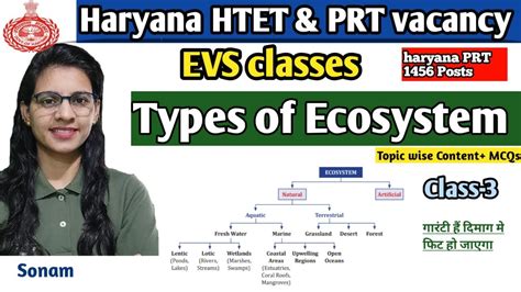 Types Of Ecosystem EVS For HTET PRT JBT Vacancy 2024 EVS Free