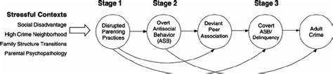 Social Interaction Theory Behavior