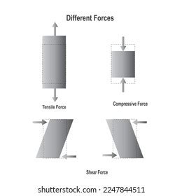 Illustration Physics Types Forces Including Compressive Stock Vector ...