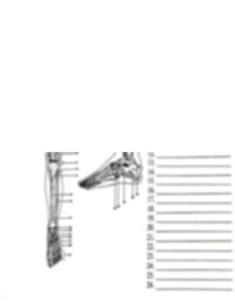 SOLUTION Skeletal System Science Practice Labelling And Familiarize