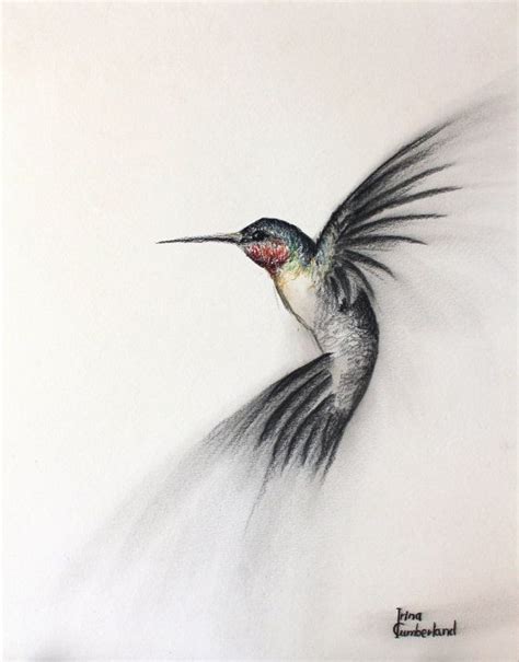 Original Bird Art Charcoal Drawing Of A Flying By Irinacumberland