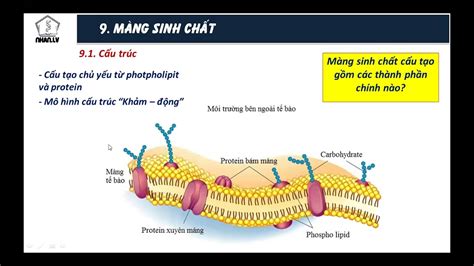 Tổng hợp 86 hình về mô hình khảm động daotaonec