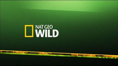 National Geographic Wild Romaniaother Logopedia Fandom