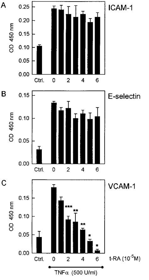 Treatment With T Ra Specifically Prevents Tnf Induced Vcam Cell