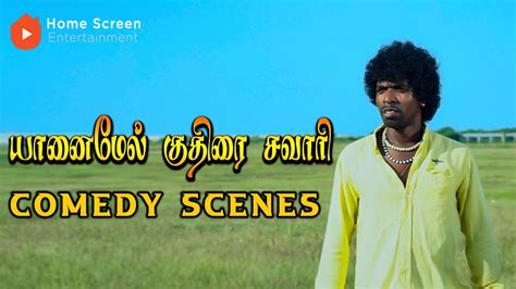 Yaanai Mel Kuthirai Sawaari Comedy Scenes Love And Laughter In The