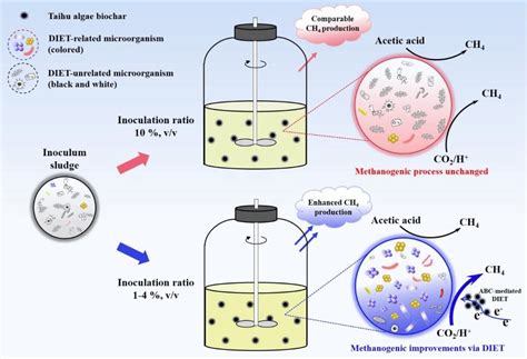 蓝藻生物炭强化剩余污泥厌氧消化的研究成果被bioresource Technology 接收 江南大学环境微生物技术研究室