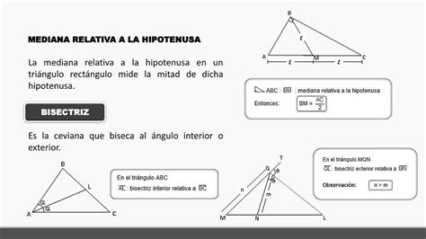 La Longitud De La……………………… Relativa A La Hipotenusa En Un Triángulo