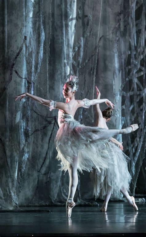 Birmingham Royal Ballet S The Nutcracker Photo By Bill Cooper