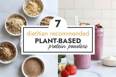 The Best Plant Based Protein Powder 2024 Healthier Living Everyday