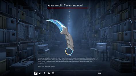 Most Expensive CS2 Skins: The #387 Karambit Blue Gem