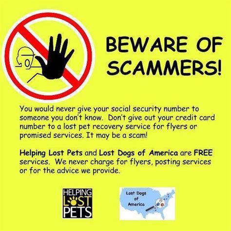 Beware Of Scammers Who Prey On People Who Have Lost Their Pets Lost