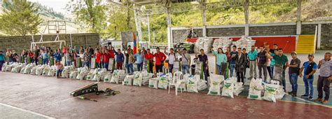 Aguacateros Caldenses Se Preparan Para Llegar A Mercados Europeos Con