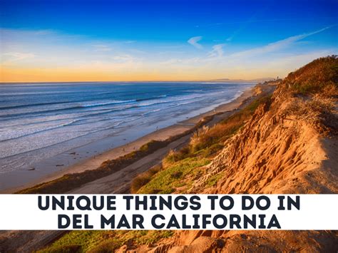 3 Unique Things To Do In Del Mar California C Boarding Group