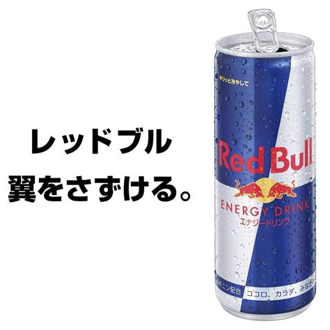 レッドブル エナジードリンク 250ml ×48本 24本入×2ケース 送料無料 4885クイックファクトリー 通販