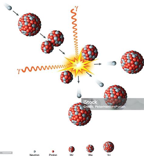 Uranium Atom Model