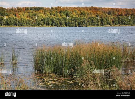 Senezhskoye hi-res stock photography and images - Alamy