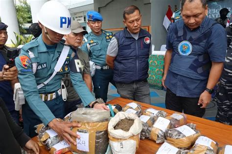 TNI AL Gagalkan Penyelundupan Ganja Seberat 13 Kg Di Perairan