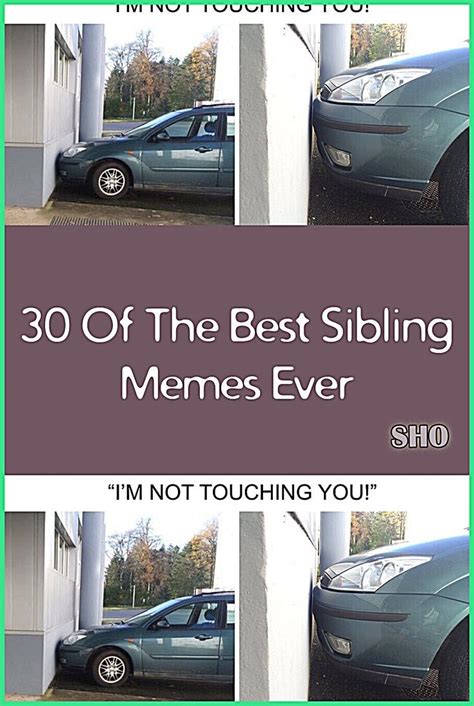 Of The Best Sibling Memes Ever Artofit