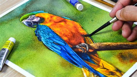 Painting A Blue Gold Macaw In Watercolor YouTube