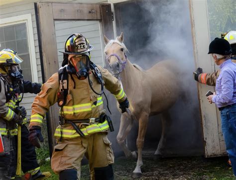 #EMERGENCY PREPAREDNESS | HORSE NATION