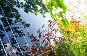 Il Nuovo Bonus Ti Permette Di Installare Pannelli Fotovoltaici Gratis