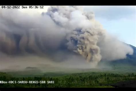 Badan Meteorologi Jepang Resmi Cabut Peringatan Tsunami Akibat