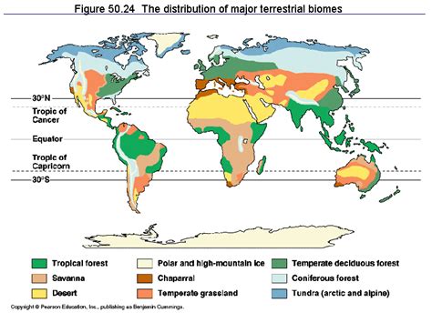 Major Terrestrial Biomes