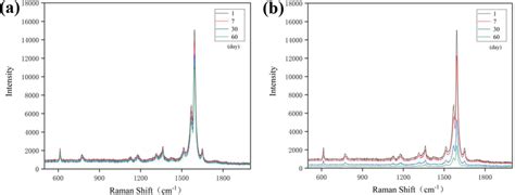 Sers Spectra Of 10⁻⁸ M R6g After 1 7 30 And 60 Days A The First